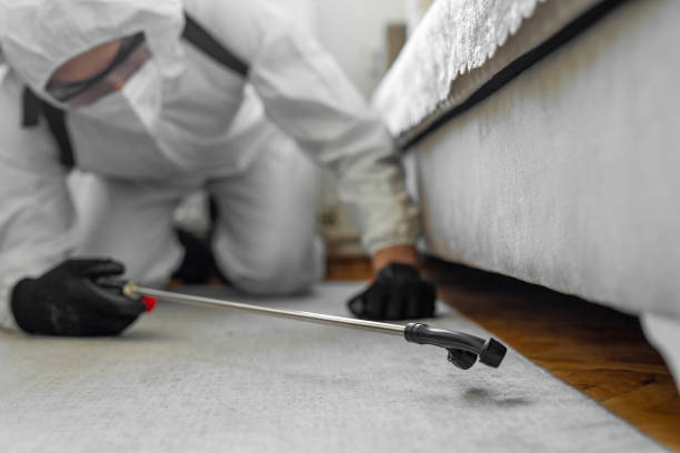 Professional Termite Control technician working in Pelham Manor, NY